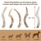 Show in main carousel: Prairie Dog Whole Deer Antler Dog Chews, 9 - 10.5 in slide 6 of 12