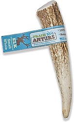 Prairie Dog Whole Elk Antler Dog Chews, 4 - 5.5 inch