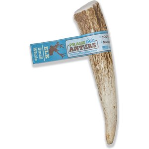 Prairie Dog Whole Elk Antler Dog Chews, 4 - 5.5 inch