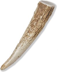 Prairie Dog Whole Elk Antler Dog Chews, 4 - 5.5 inch slide 2 of 9