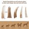 Show in main carousel: Prairie Dog Whole Elk Antler Dog Chews, 4 - 5.5 inch slide 6 of 12