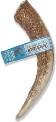 Prairie Dog Whole Elk Antler Dog Chews, 6 - 7.5 inch
