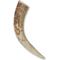 Show in main carousel: Prairie Dog Whole Elk Antler Dog Chews, 6 - 7.5 inch slide 3 of 12