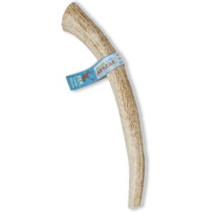 Prairie Dog Whole Elk Antler Dog Chews, 8 - 9.5 in