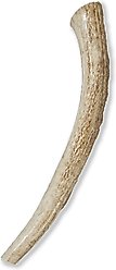Prairie Dog Whole Elk Antler Dog Chews, 8 - 9.5 in slide 2 of 9