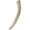 Show in main carousel: Prairie Dog Whole Elk Antler Dog Chews, 8 - 9.5 in slide 3 of 12