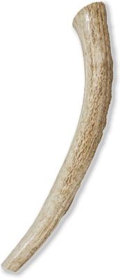 Show full view: Prairie Dog Whole Elk Antler Dog Chews, 8 - 9.5 in slide 3 of 12