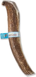 Prairie Dog Whole Elk Antler Dog Chews, 9.5 - 10.5 inch