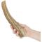 Show in main carousel: Prairie Dog Whole Elk Antler Dog Chews, 9.5 - 10.5 inch slide 4 of 11