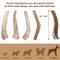 Show in main carousel: Prairie Dog Whole Elk Antler Dog Chews, 9.5 - 10.5 inch slide 6 of 11