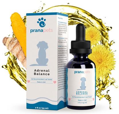 Show full view: Prana Pets Adrenal Balance for Cushing's Disease for Dogs, 2-fl oz bottle slide 1 of 10
