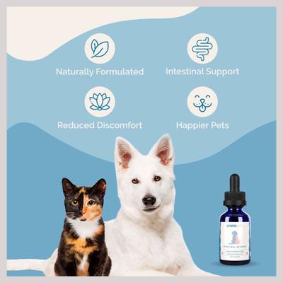 Show full view: Prana Pets Intestinal Defense Herbal Dewormer Liquid Supplement for Cats & Dogs, 2-fl oz bottle slide 6 of 9