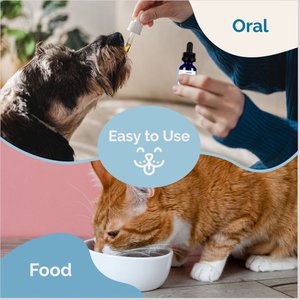 Prana Pets Intestinal Defense Herbal Dewormer Liquid Supplement for Cats & Dogs, 2-fl oz bottle