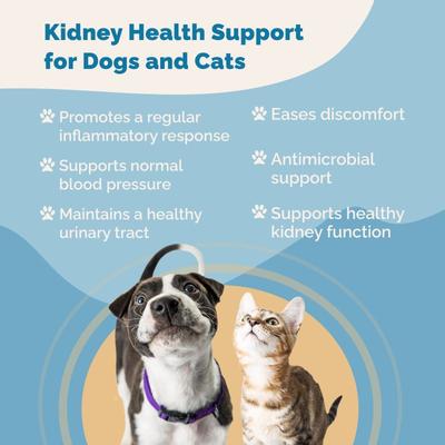 Show full view: Prana Pets Kidney Health Support Liquid Cat & Dog Supplement, 2-fl oz bottle slide 4 of 9