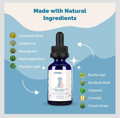 Show full view: Prana Pets Kidney Health Support Liquid Cat & Dog Supplement, 2-fl oz bottle slide 5 of 9