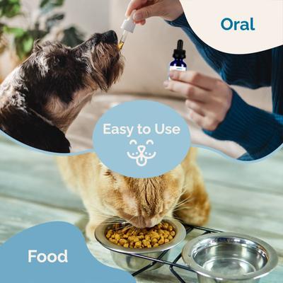 Show full view: Prana Pets Kidney Health Support Liquid Cat & Dog Supplement, 2-fl oz bottle slide 8 of 9