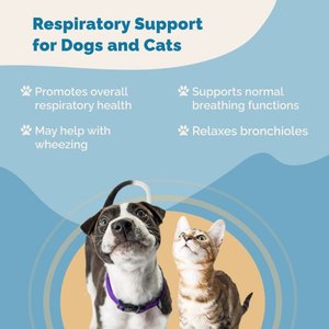 Prana Pets Respiratory Support for Asthma, Allergies & Respiratory Infections Liquid Supplement for Cats & Dogs, 2-fl oz bottle