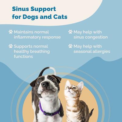Show full view: Prana Pets Sinus Support for Respiratory & Sinus Infections Liquid Supplement for Cats & Dogs, 2-fl oz bottle slide 4 of 10