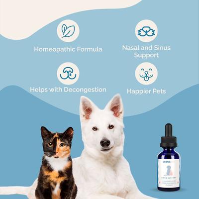 Show full view: Prana Pets Sinus Support for Respiratory & Sinus Infections Liquid Supplement for Cats & Dogs, 2-fl oz bottle slide 6 of 10