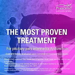 Prascend (Pergolide) Tablets for Horses, 1-mg, 10 tablets slide 2 of 8