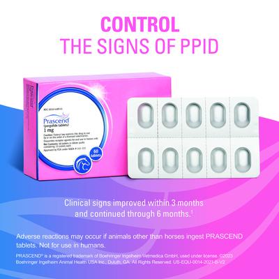 Show full view: Prascend (Pergolide) Tablets for Horses, 1-mg, 10 tablets slide 3 of 10