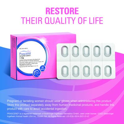 Show full view: Prascend (Pergolide) Tablets for Horses, 1-mg, 10 tablets slide 5 of 10