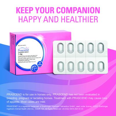 Show full view: Prascend (Pergolide) Tablets for Horses, 1-mg, 10 tablets slide 6 of 10
