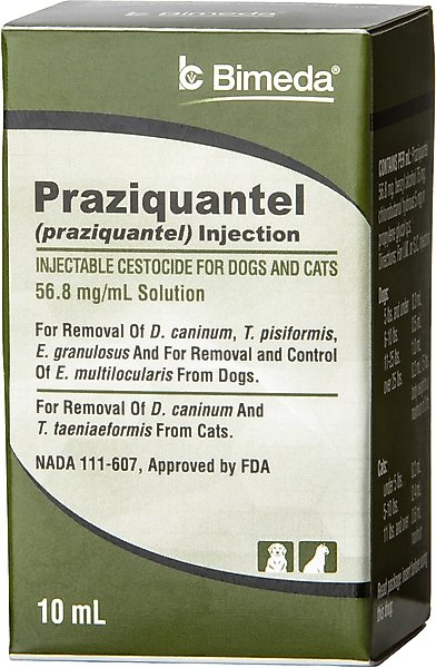 Royal Canin Feline Care Nutrition Digestive Care Adult Chunks in Gravy Pouch Cat Food