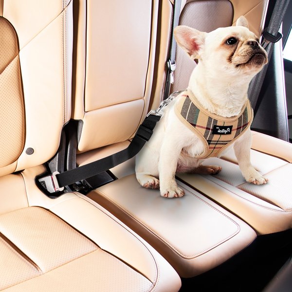 Precious Tails Co-Pilot Adjustable Seat Belt
