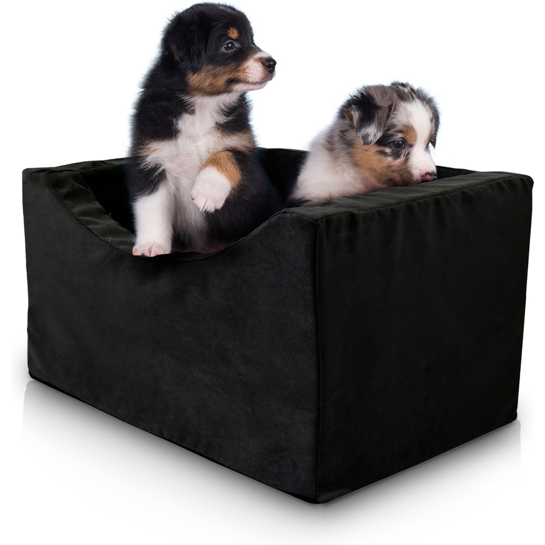Precious Tails Co-Pilot Dog Car Booster Seat, Black, Medium