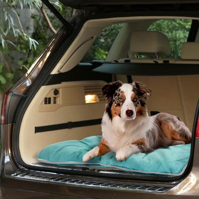 Show full view: Precious Tails Co-Pilot Waterproof Pillow Cat & Dog Bed, Aqua Gray, Large slide 5 of 8