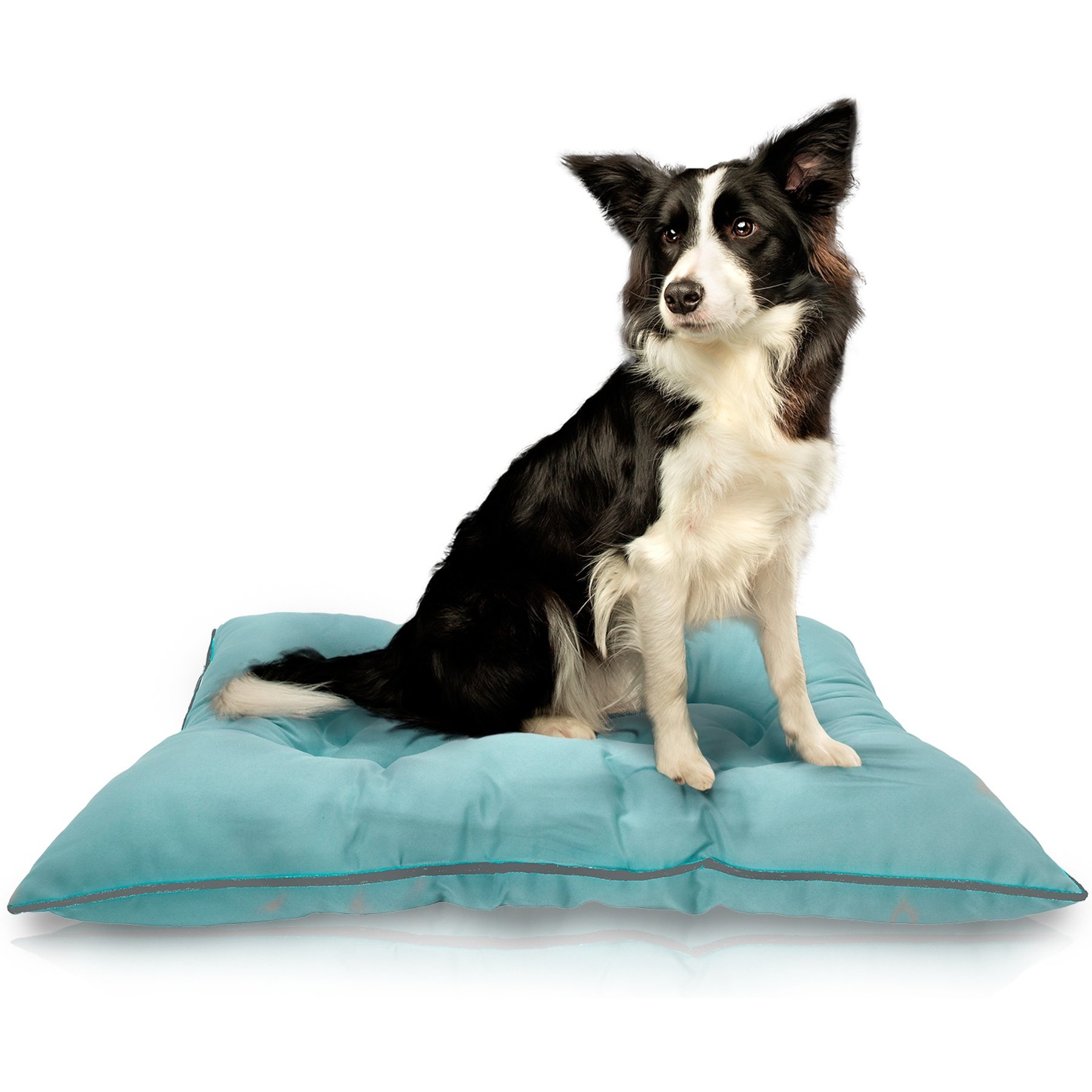 Precious Tails Co-Pilot Waterproof Pillow Cat & Dog Bed, Aqua Gray, Small