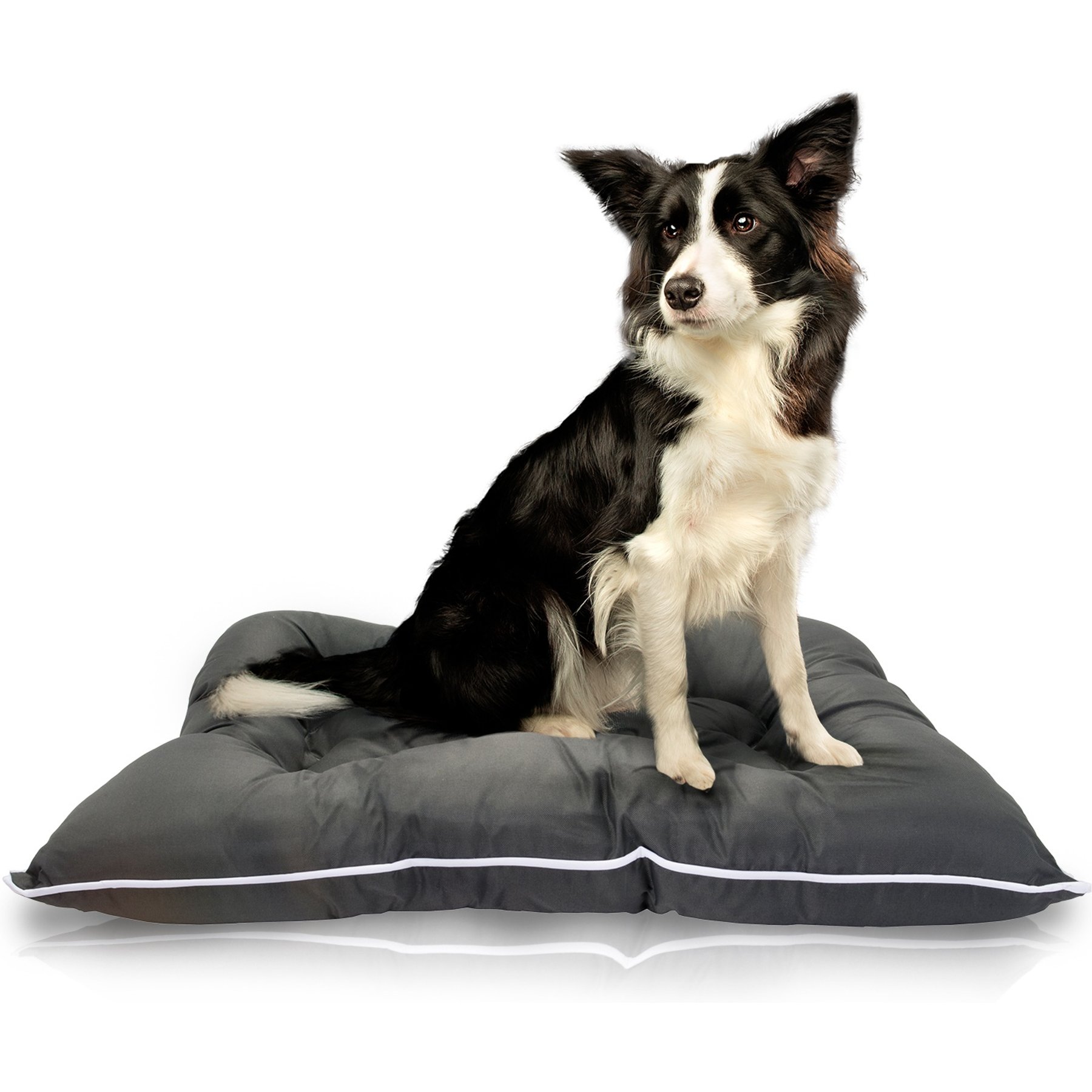 Precious Tails Co-Pilot Waterproof Pillow Cat & Dog Bed, Gray White, X-Large