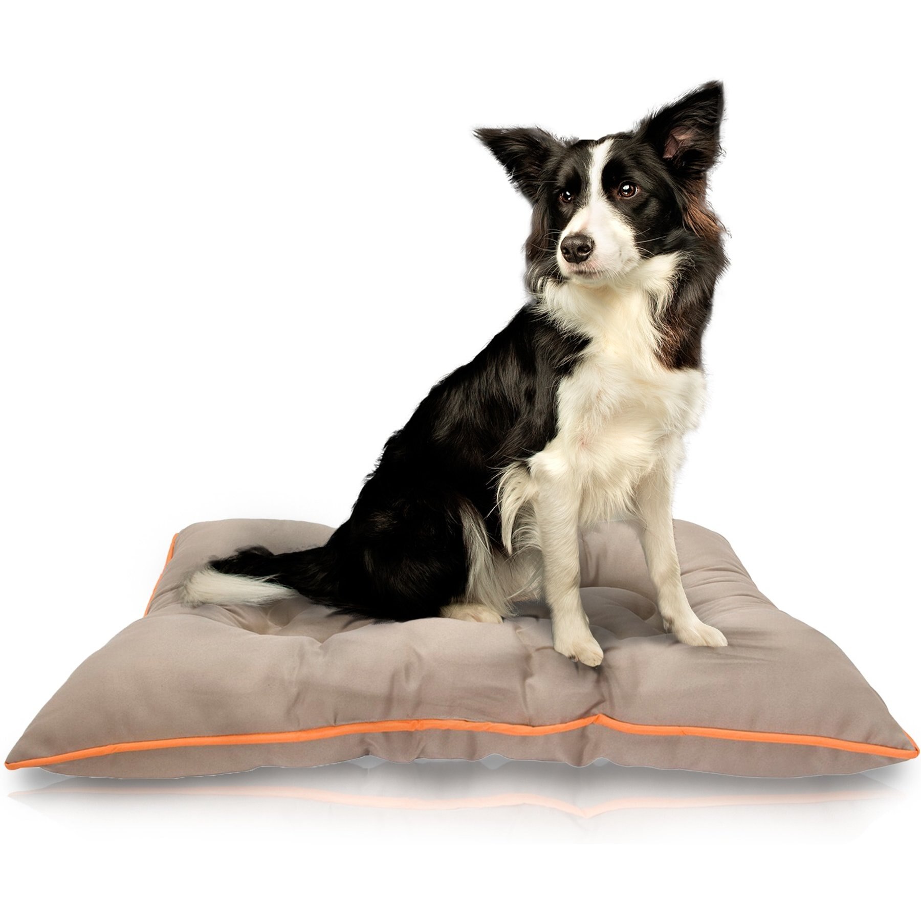 Precious Tails Co-Pilot Waterproof Pillow Cat & Dog Bed, Khaki Orange, Small