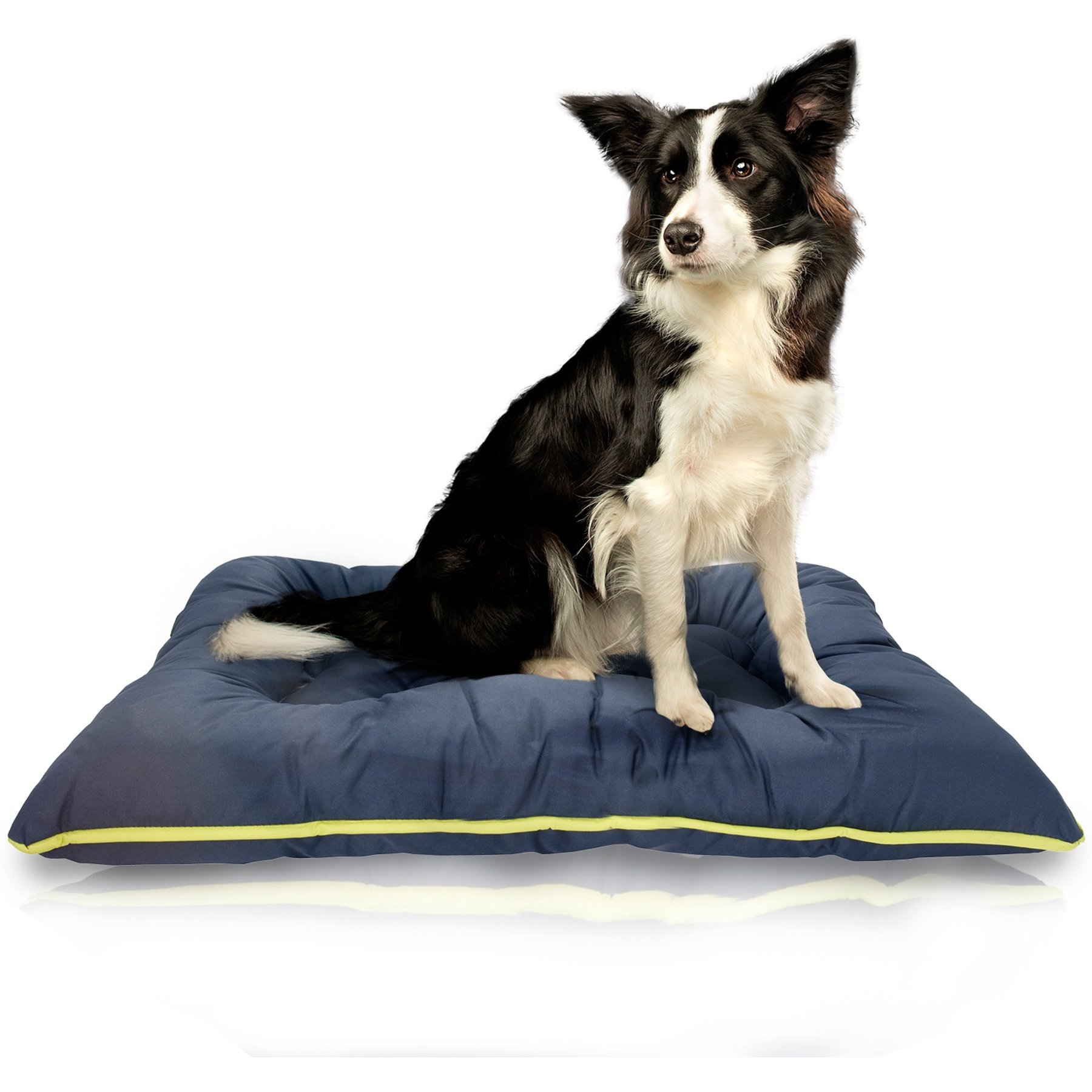 Precious Tails Co-Pilot Waterproof Pillow Cat & Dog Bed, Navy Green, Large