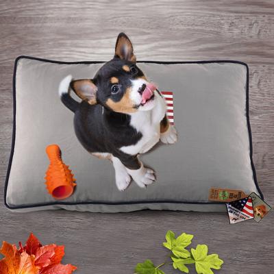 Show full view: Precious Tails "Dog Bless Ameria" Orthopedic Pillow Cat & Dog Bed with Removable Cover, Gray, Small slide 4 of 8