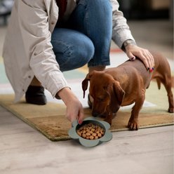 Precious Tails Flower Non-Skid Silicone Dog & Cat Bowl, Gray, Small slide 2 of 7