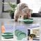 Show in main carousel: Precious Tails Flower Non-Skid Silicone Dog & Cat Bowl, Green, Small slide 5 of 9