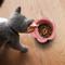 Show in main carousel: Precious Tails Flower Non-Skid Silicone Dog & Cat Bowl, Pink, Large slide 6 of 9
