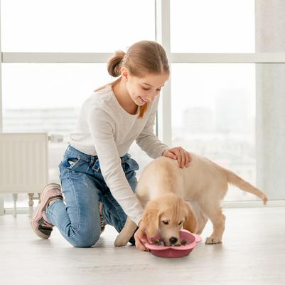 Show full view: Precious Tails Flower Non-Skid Silicone Dog & Cat Bowl, Pink, Large slide 7 of 9