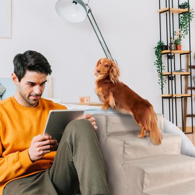 Show full view: Precious Tails Herringbone High Density Foam 4 Steps Pet Dog & Cat Stair, Khaki slide 4 of 9