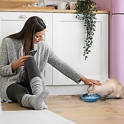 Precious Tails Non-Skid Silicone Cat Bowl, Blue, Small slide 2 of 7