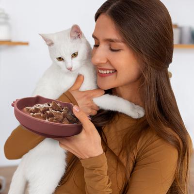 Show full view: Precious Tails Non-Skid Silicone Cat Bowl, Brown, Small slide 4 of 8