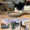 Show in main carousel: Precious Tails Non-Skid Silicone Cat Bowl, Gray, Small slide 7 of 8