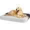 Show in main carousel: Precious Tails Orthopedic Foam Velvet Convertible Sofa Cat & Dog Bed with Removable Cover, Gray, Medium slide 2 of 9