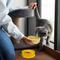 Show in main carousel: Precious Tails Pineapple Non-Skid Silicone Dog & Cat Bowl, Yellow slide 6 of 7
