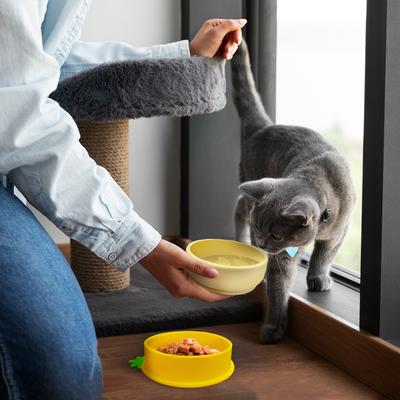 Show full view: Precious Tails Pineapple Non-Skid Silicone Dog & Cat Bowl, Yellow slide 6 of 7