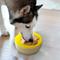 Show in main carousel: Precious Tails Pineapple Non-Skid Silicone Dog & Cat Bowl, Yellow slide 5 of 7