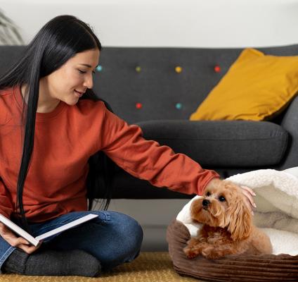 Show full view: Precious Tails Plush Corduroy & Sherpa Lined Covered Cat & Dog Bed, Coffee, Small slide 6 of 10