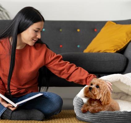Show full view: Precious Tails Plush Corduroy & Sherpa Lined Covered Cat & Dog Bed, Gray, Medium slide 6 of 10